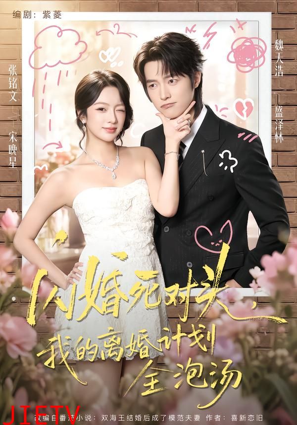 闪婚死对头，我的离婚计划全泡汤