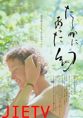 屋久岛的幻梦