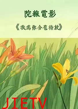 我为你含苞待放